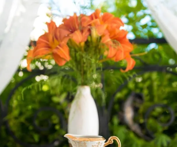 Artur Vip Club Aparthotel 4*